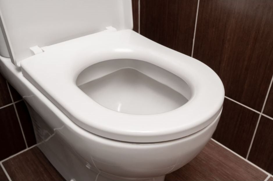 Everything You Need to Know About Our Toilet Seats