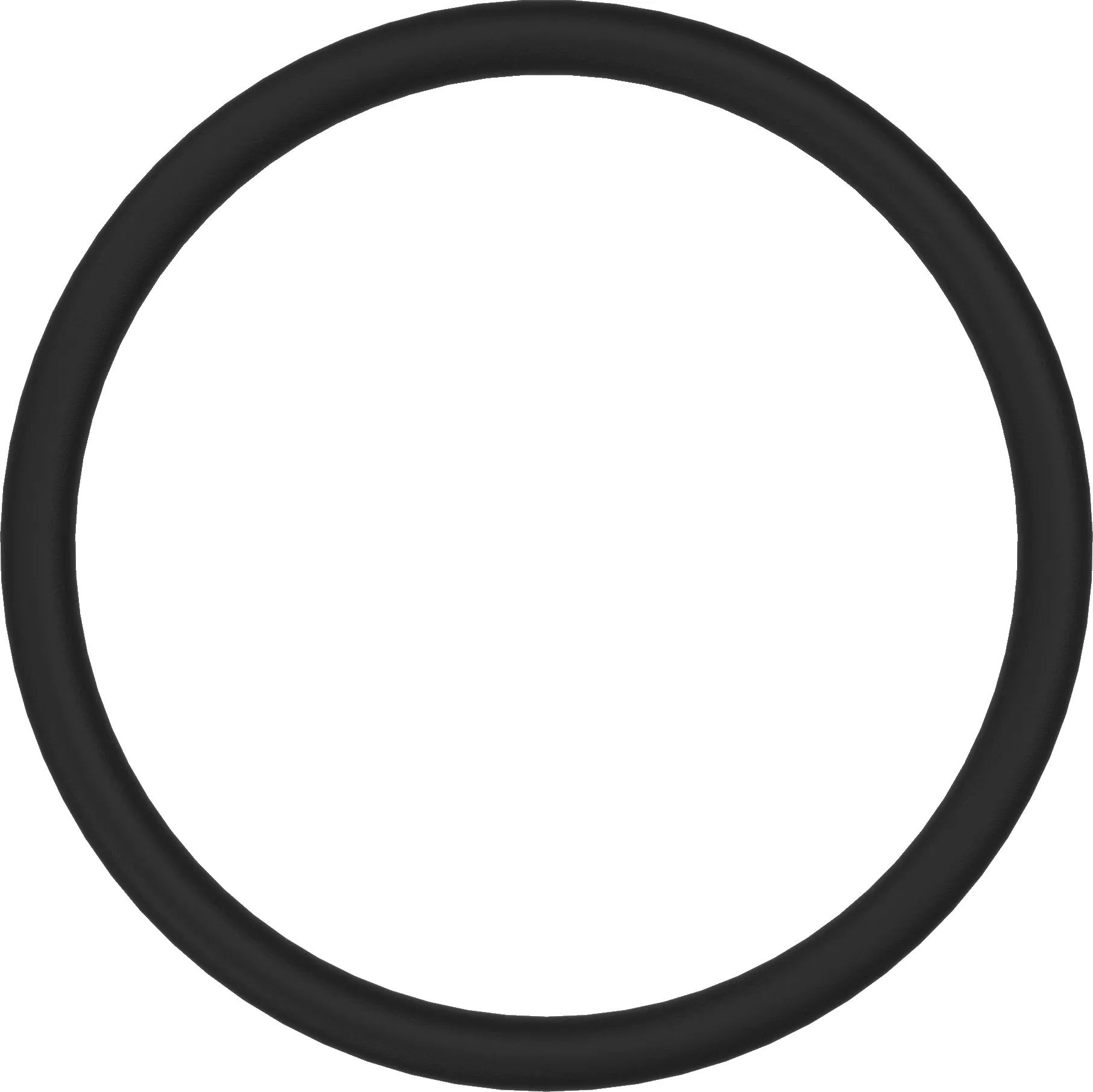 Flush valve holder O-ring